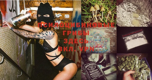 бошки Абинск