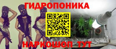прущие крисы Краснокаменск