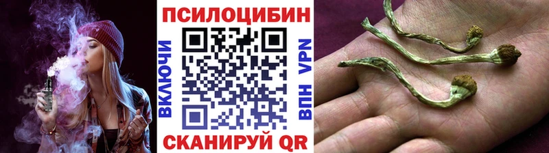 Псилоцибиновые грибы Psilocybine cubensis  Ирбит 