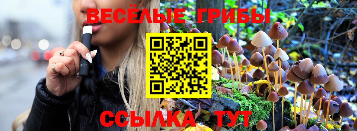 Псилоцибиновые грибы мухоморы  Вход с VPN  Ирбит  Галлюциногенные грибы ЛСД 
