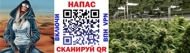 Бошки марихуана гибрид  kraken tor  Ирбит 